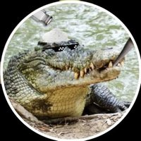 Salt Crocodile (@pepperalligatr) 's Twitter Profile