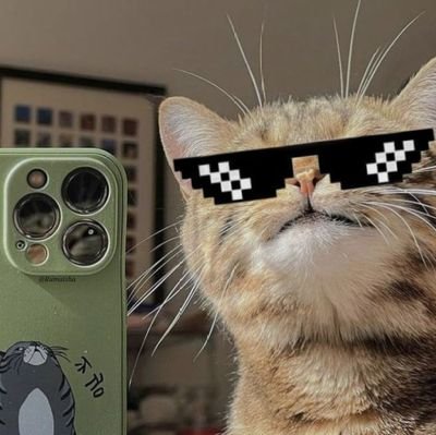 shadesofgre_y's profile picture. -Alter ego