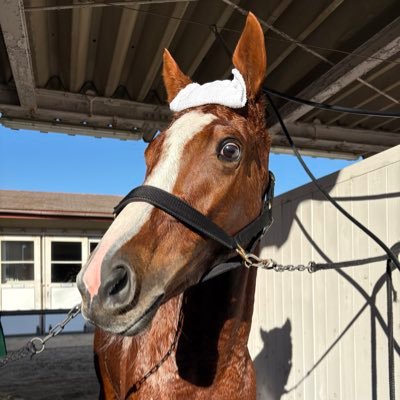 wara0616's profile picture. 