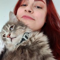 هانیه🫏 (@meygooi) 's Twitter Profile