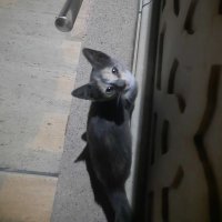 hiff. (@sehiff) 's Twitter Profile Photo