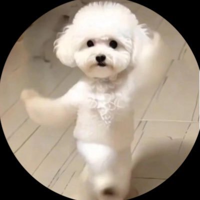 supnyann's profile picture. 03 パリ暮らし