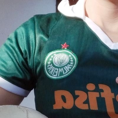 Palmeirass__SEP's profile picture. Que Deus nos abençoe e nos proteja 🙏🏻