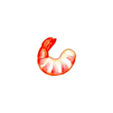 なのさんのプロフィール画像
