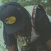 H A Z E (@sherrodmyrion) Twitter profile photo H A Z E (@sherrodmyrion) Twitter profile photo