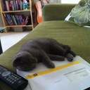 Jonathan Guy Goodwin - @gpzarquon - Twitter