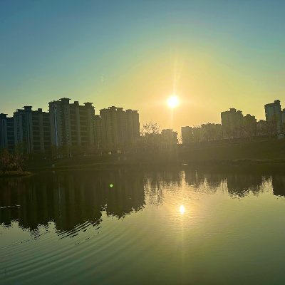 BitconnERC's profile picture. 