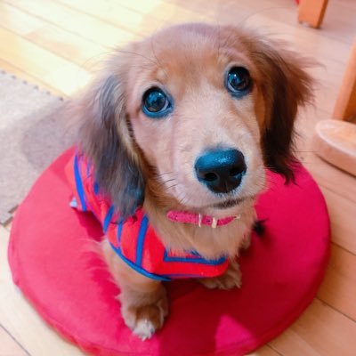 @monaka2525momo