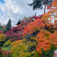 ak_ub (@ub__a_k) 's Twitter Profile