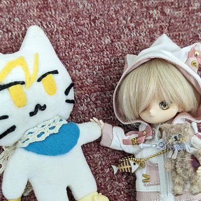さくやさんのプロフィール画像
