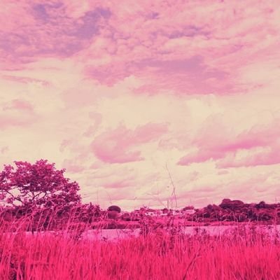 Azuzanya903's profile picture. 