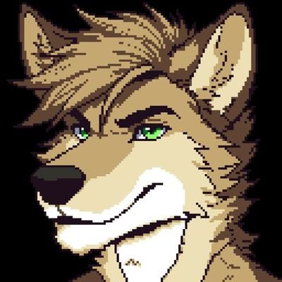 spar_the_wolf's profile picture. gay dog || 
22 || 
taken