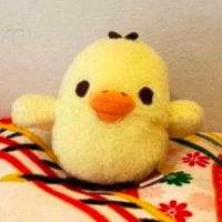 るり🐥👛 (@kiitori_bird222) 's Twitter Profile