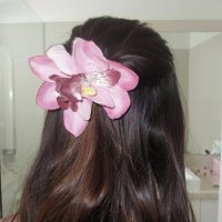 mimi (@dolliermi) 's Twitter Profile Photo mimi (@dolliermi) 's Twitter Profile Photo