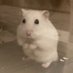 HA (@hahahajimee) Twitter profile photo HA (@hahahajimee) Twitter profile photo