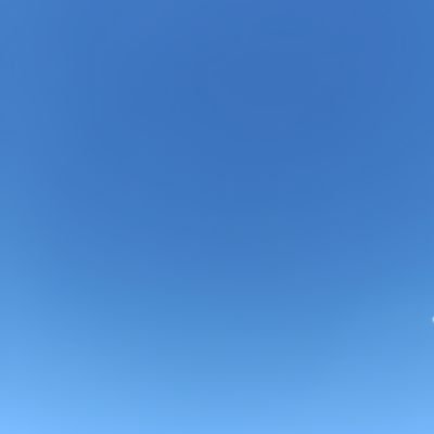 真・偽ダンデらいおんさんのプロフィール画像