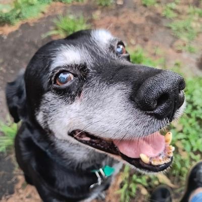 Juliabentonica's profile picture. 