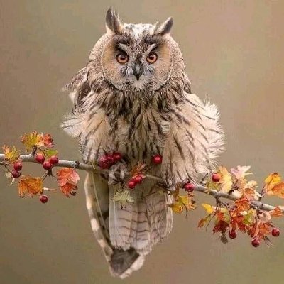 Shenzhen0715's profile picture. @shenzhen