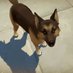 AxirtisX (@axirtisx) Twitter profile photo AxirtisX (@axirtisx) Twitter profile photo