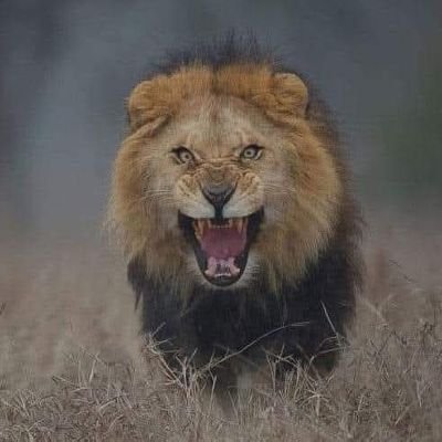 alelnshi4405's profile picture. 