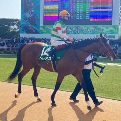 pekokeiba's profile picture. 西村淳也騎手を応援しています✌︎ベレヌス