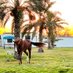 Wafa Al Waaer (@wafa_alwaaer) Twitter profile photo Wafa Al Waaer (@wafa_alwaaer) Twitter profile photo