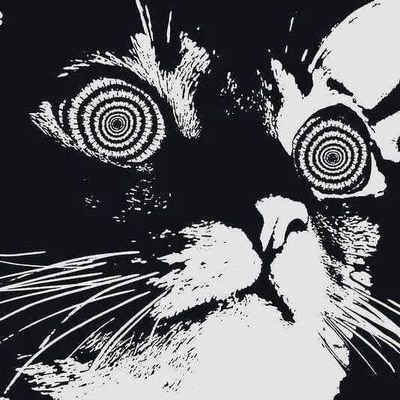#взаимная

 • сб, а не анф

 • она/её/ты

 • главная фанатка бкдк и просто гиганяша

 • #nowar #нетвойне
