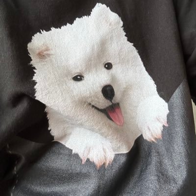 Muffin_second's profile picture. どうもまふぃんと申します #沢口愛華 #サモエド #クラシルリワード #Bitwalk #Grass #Bless #おぢポ ＃ポイ活