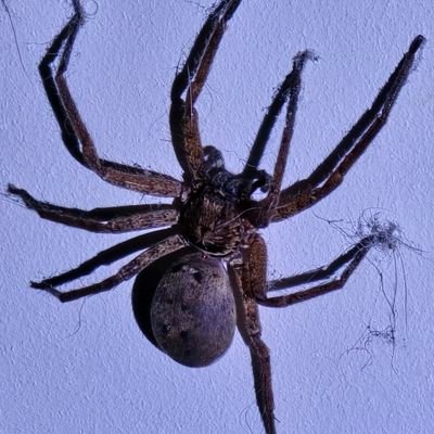 GaleGale455728's profile picture. 