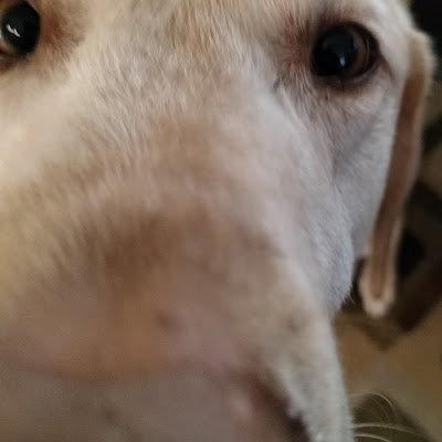 thesussykruby's profile picture. 
