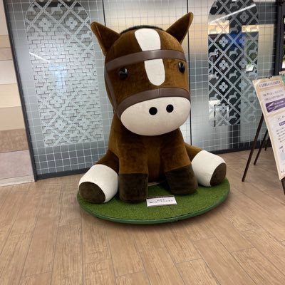12月28日に京都競馬場に行きました。競馬場内が綺麗になっています🐴今まで行きました。ボートレース場は平和島、福岡、尼崎、びわこ、住之江です。🚤🚤🐴🐴 皆様よろしくお願いします😃
