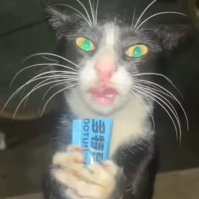 katty katさんのプロフィール画像