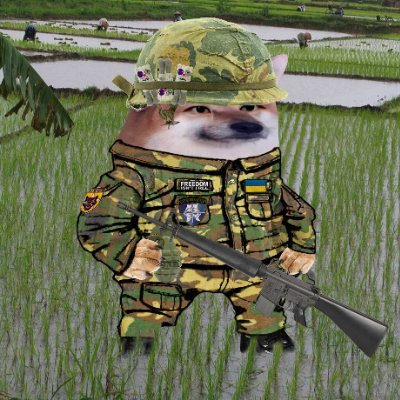 Just someone on a long journey with big goals and dreams in mind.
I fully support 🇺🇦🇮🇱🇹🇼
Proud South Vietnamese
Also I am a military and history nerd