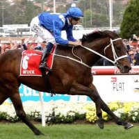Thoroughbred Selections (@wsmselections) 's Twitter Profile