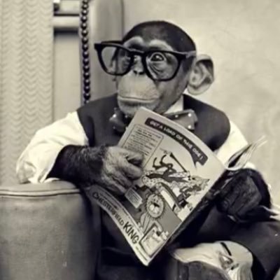 shuppy6168's profile picture. 