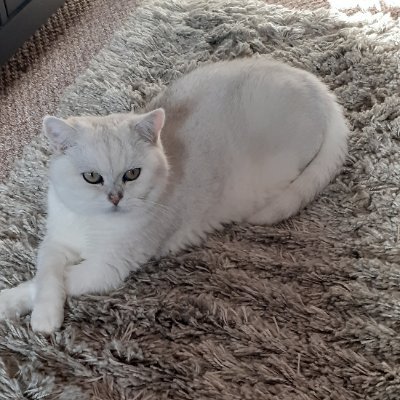 @Catmum13