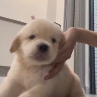 จ๋อง ⁺◦ (@amrxss_) 's Twitter Profile Photo จ๋อง ⁺◦ (@amrxss_) 's Twitter Profile Photo