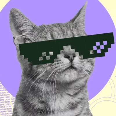 askzash's profile picture. DeFAI Intern @asynchronus_ai | Ex-@amazon | I speak the truth, sometimes it’s entertaining, sometimes it stings.