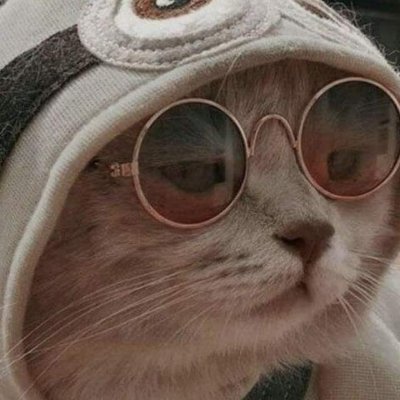 rohit_dev05's profile picture. Java,Javascript