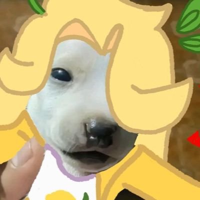 Lima doce🍋さんのプロフィール画像