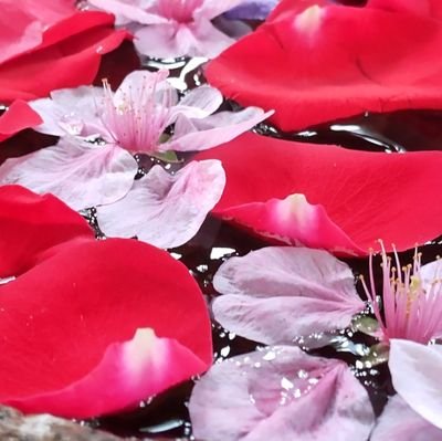 eikoさんのプロフィール画像
