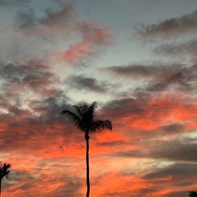 Txnn42's profile picture. 