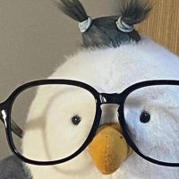 U (@satu_rtt) 's Twitter Profile