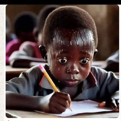 Holds a Bachelor's of Science in Economics and Statistics

Data scientist 
Certified Navigator for Public Finance Management (PFM)