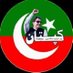 PTI king party 01 💎 (@robin84000g) Twitter profile photo