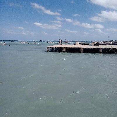 Aboalneel246190's profile picture. A