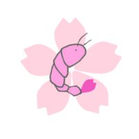 桜えび（天霧） (@sakuraebi_0408) Twitter profile photo