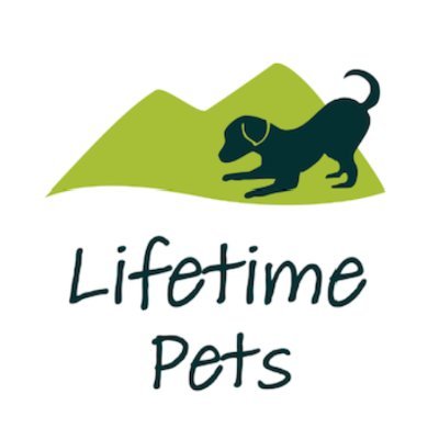 Reputable breeder of happy healthy puppies.
- Cavoodles, Groodles, Bordoodles, Borderliers, Poodles, Cavaliers