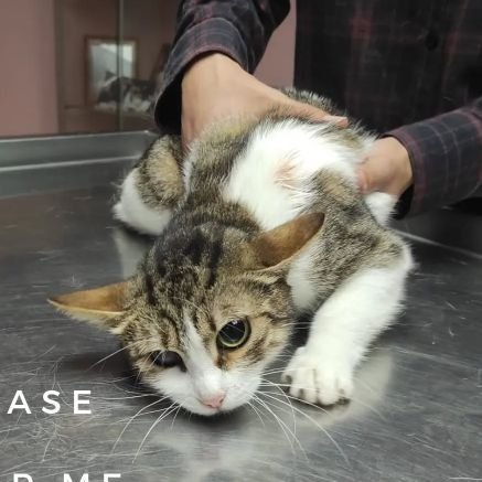 ANIMAL LOVERS FOLLOW US, SHARE, LIKE & COMMENT.
LET'S SPREAD THE LOVE.