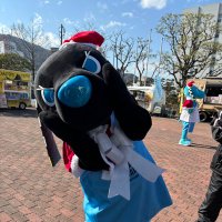 りんこ (@bmhnz8zkdg68891) Twitter profile photo